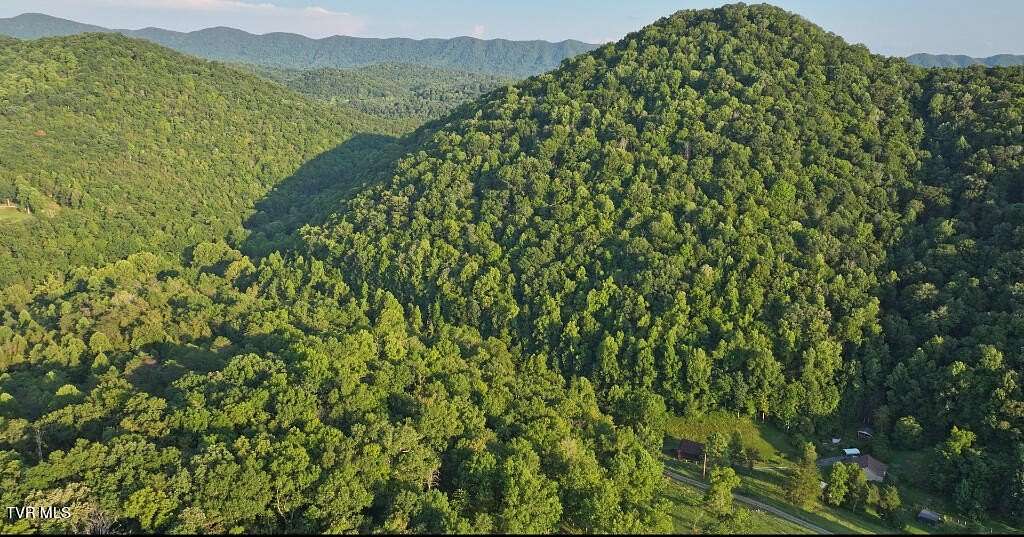 87.38 Acres of Land for Sale in Gate City, Virginia