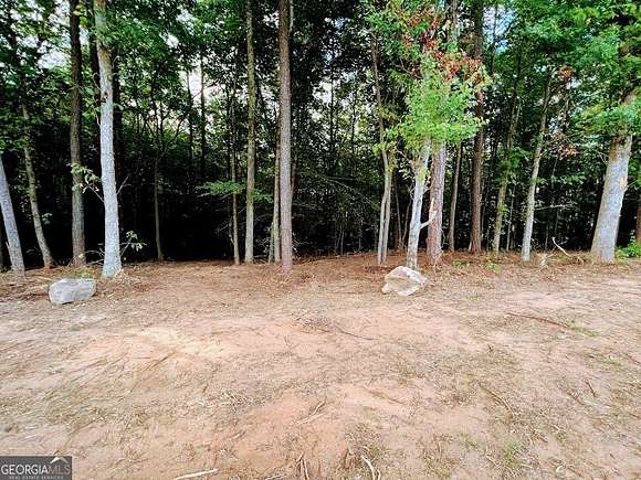 13.14 Acres of Land for Sale in Roopville, Georgia