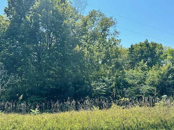 20 Acres of Recreational Land & Farm for Sale in Cowgill, Missouri