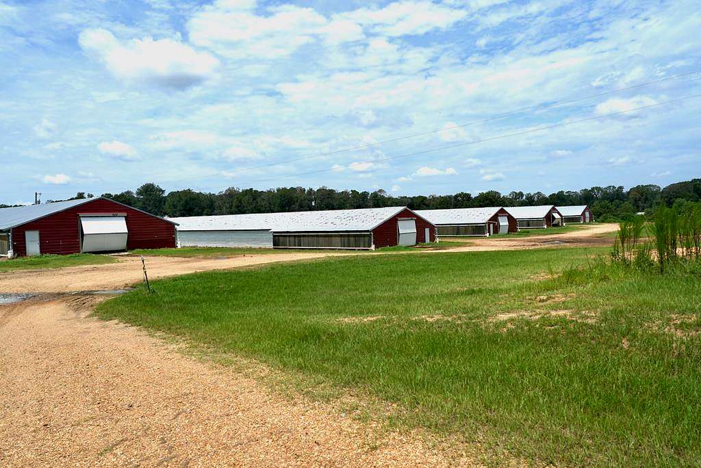 42 Acres of Agricultural Land with Home for Sale in Summit, Mississippi