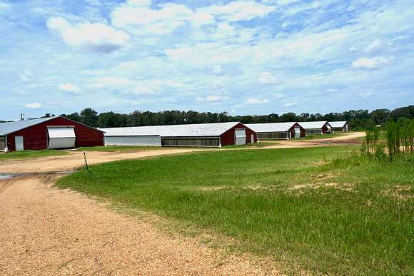 42 Acres of Agricultural Land with Home for Sale in Summit, Mississippi