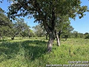 11.5 Acres of Recreational Land & Farm for Sale in Gillett, Texas