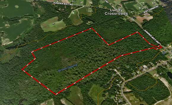 88.6 Acres of Recreational Land for Sale in Conway, South Carolina