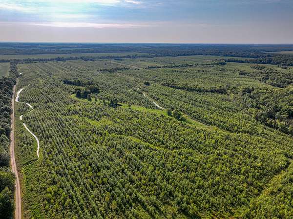 2,014 Acres of Recreational Land for Sale in Clay City, Illinois