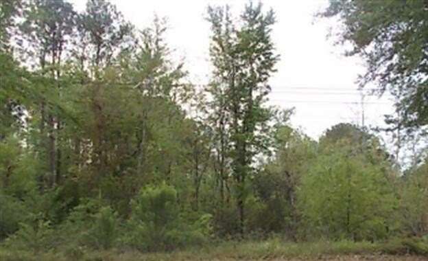 1.95 Acres of Land for Sale in Mount Pleasant, South Carolina