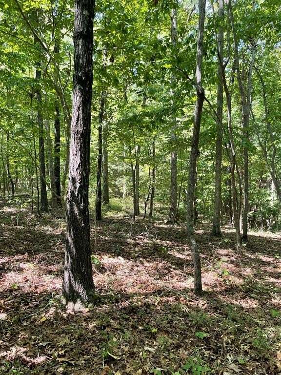 10.22 Acres of Land for Sale in Acworth, Georgia