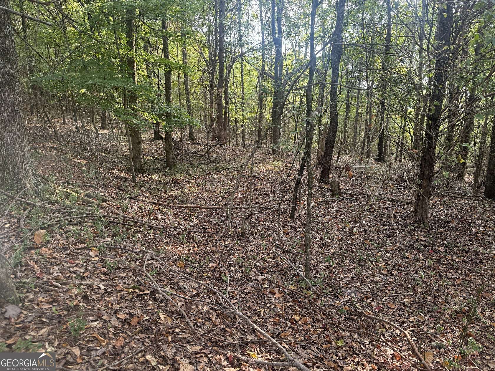 0.92 Acres of Residential Land for Sale in Cave Spring, Georgia