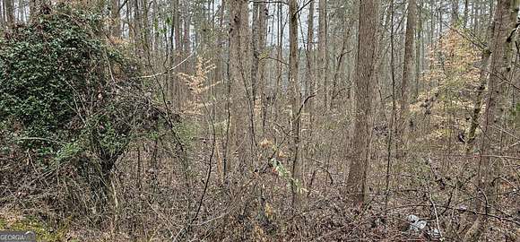 0.59 Acres of Residential Land for Sale in Martin, Georgia