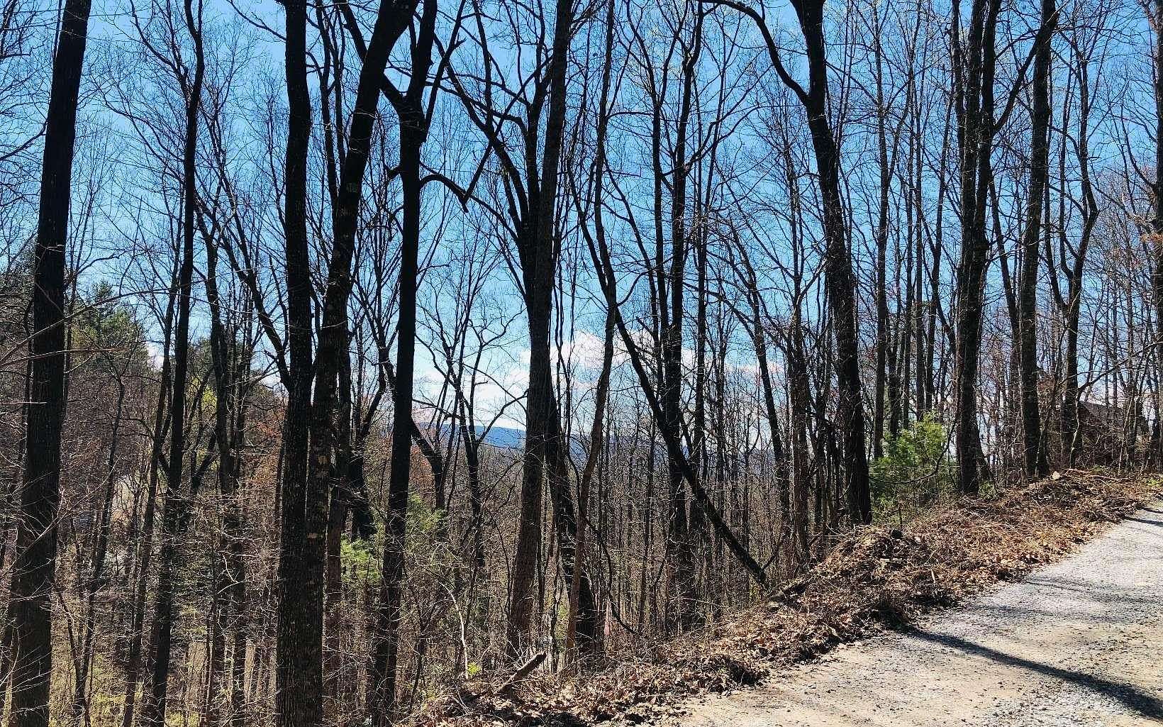 0.35 Acres of Residential Land for Sale in Clayton, Georgia