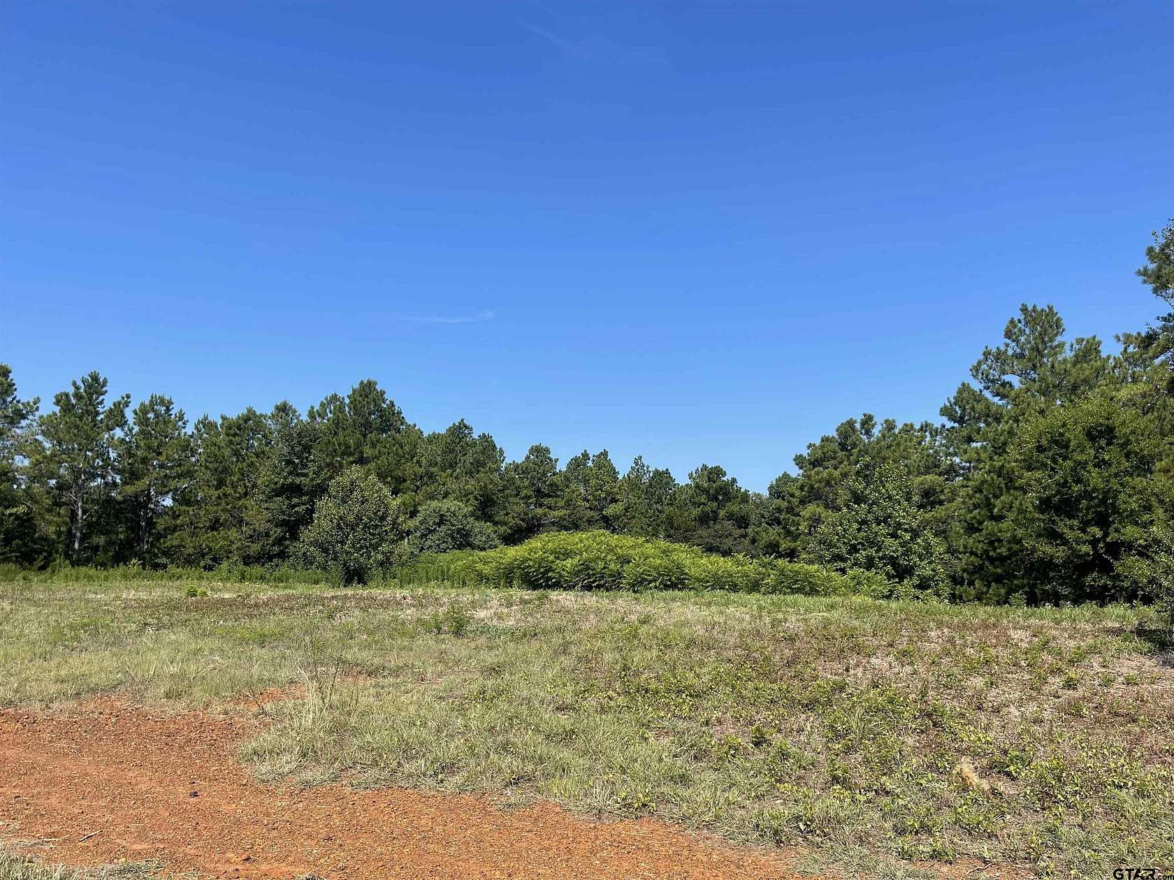 29.231 Acres of Recreational Land for Sale in Tyler, Texas