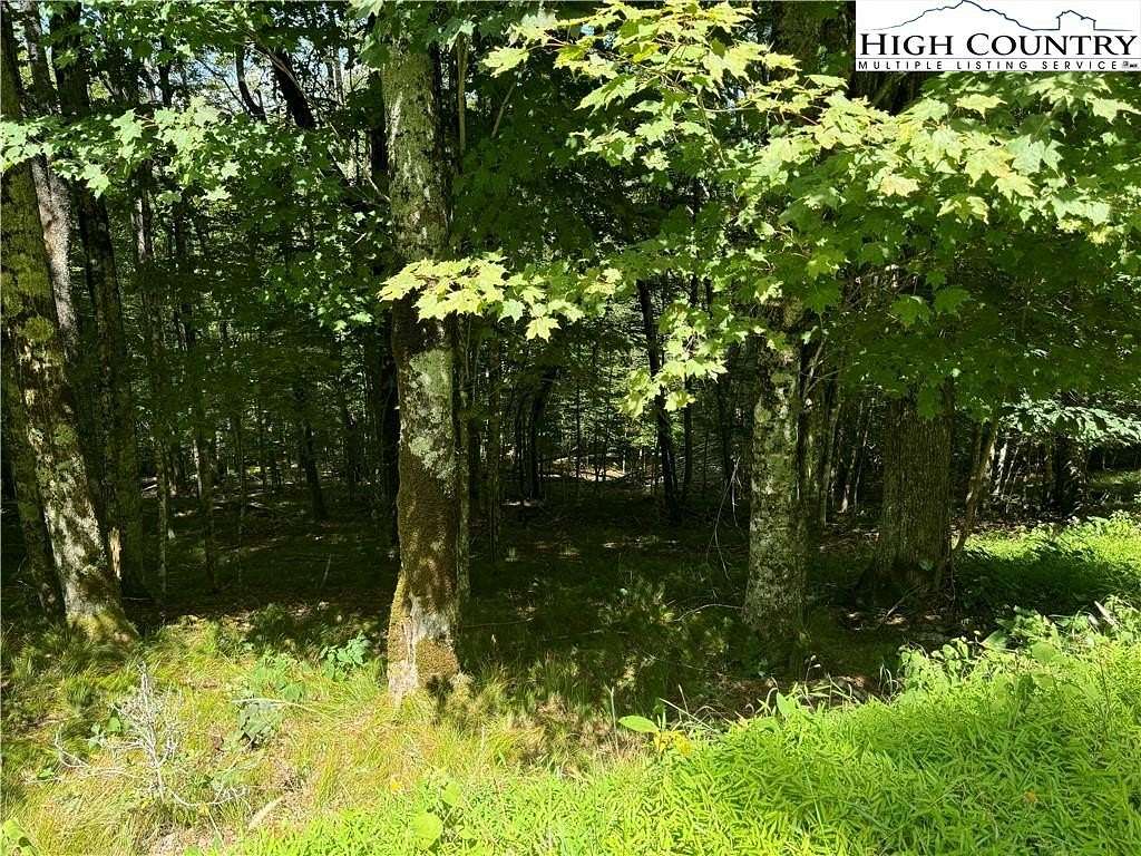 0.32 Acres of Residential Land for Sale in Beech Mountain, North Carolina