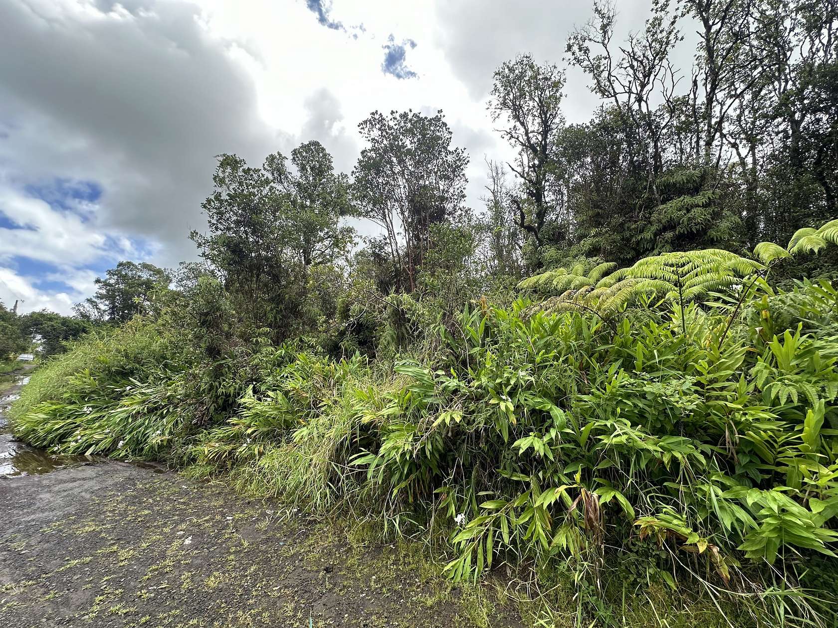 0.186 Acres of Land for Sale in Mountain View, Hawaii