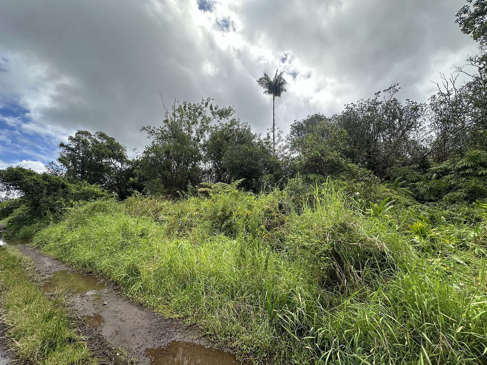 0.186 Acres of Land for Sale in Mountain View, Hawaii