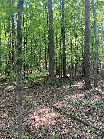 5.6 Acres of Land for Sale in Abbeville, South Carolina