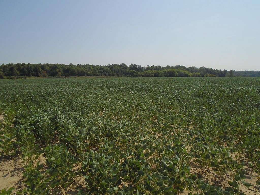 135 Acres of Land for Sale in Hanson, Kentucky