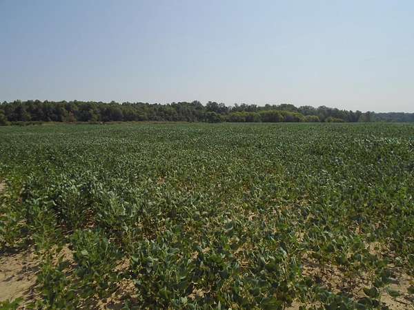 135 Acres of Land for Sale in Hanson, Kentucky