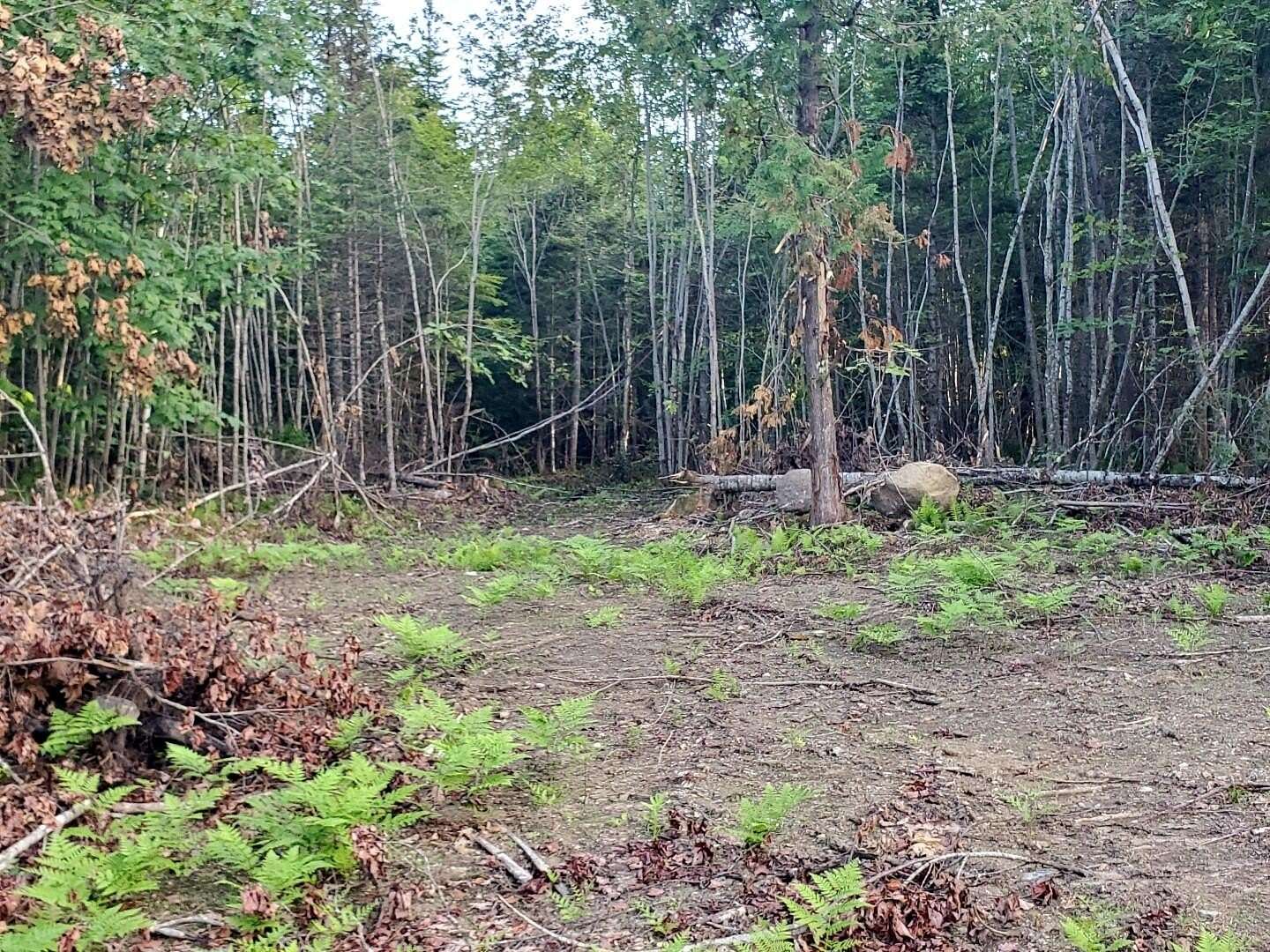 9 Acres of Residential Land for Sale in Northport, Maine