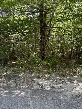 78.93 Acres of Land for Sale in Cherryfield, Maine