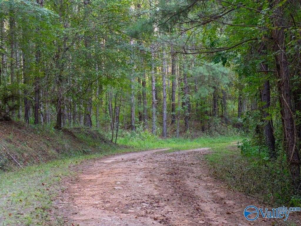 67 Acres of Recreational Land for Sale in Rockford, Alabama