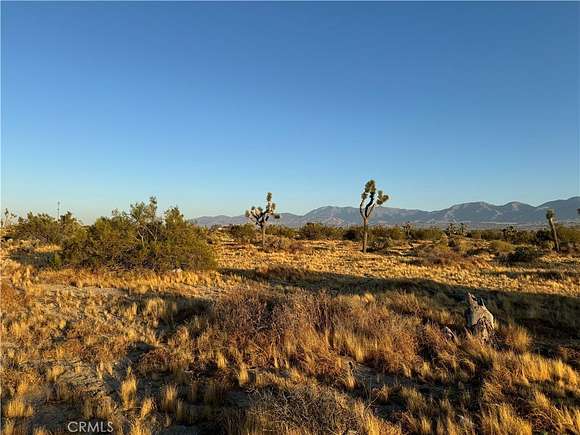 2.986 Acres of Land for Sale in Littlerock, California