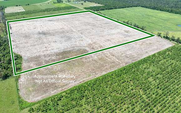 40 Acres of Agricultural Land for Sale in Live Oak, Florida