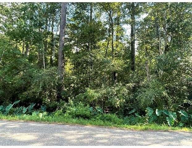 Land for Sale in Abita Springs, Louisiana