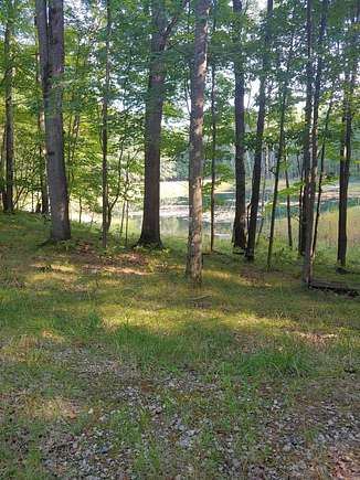 0.8 Acres of Land for Sale in Farwell, Michigan