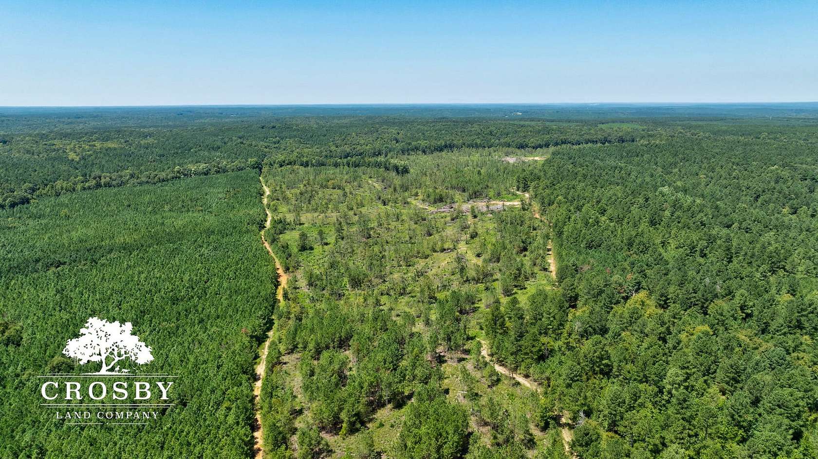 252.3 Acres of Recreational Land for Sale in Carlton, Georgia