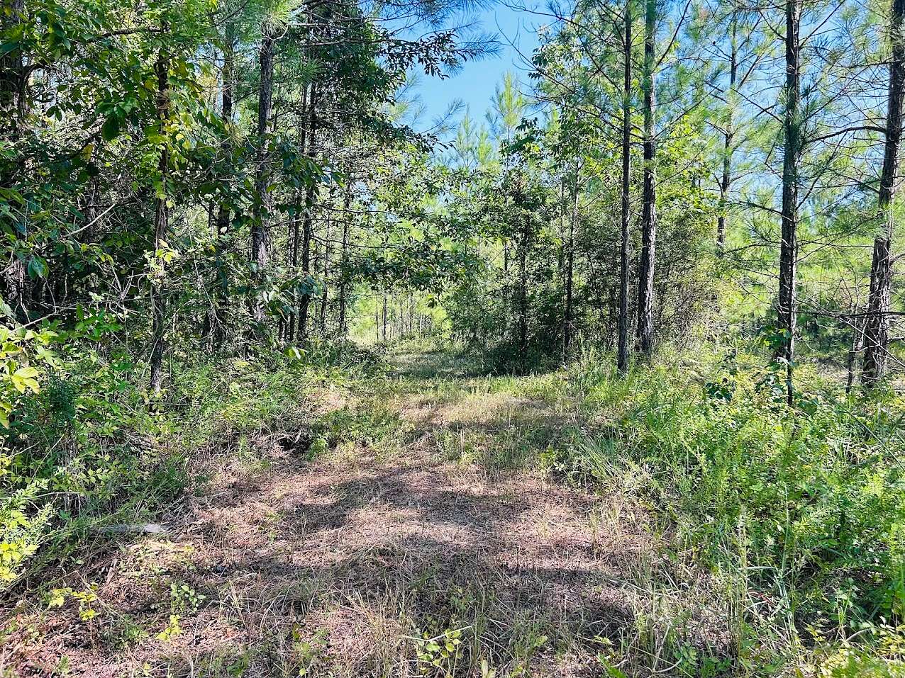 10 Acres of Recreational Land for Sale in Leesburg, Alabama