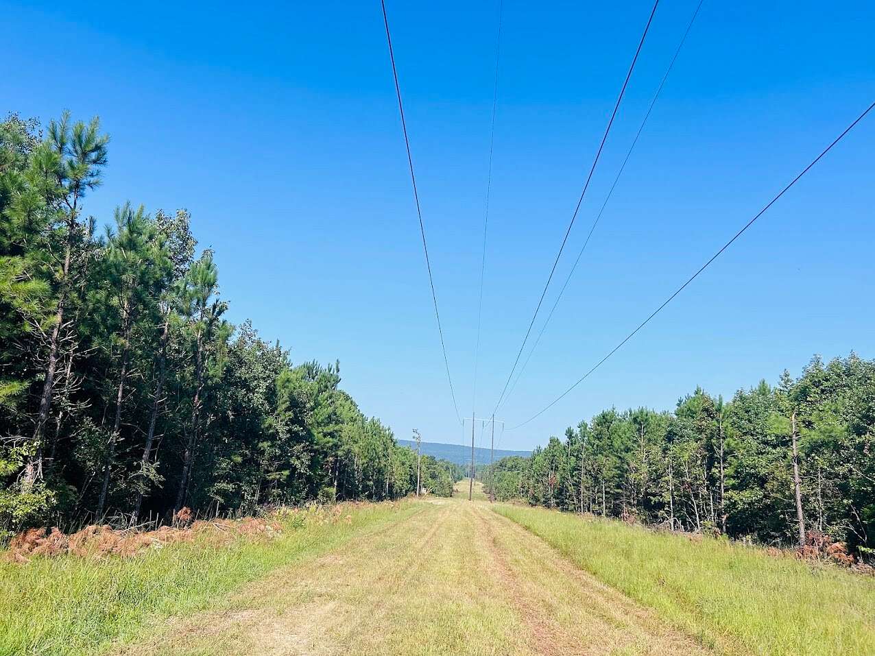 10 Acres of Recreational Land for Sale in Leesburg, Alabama