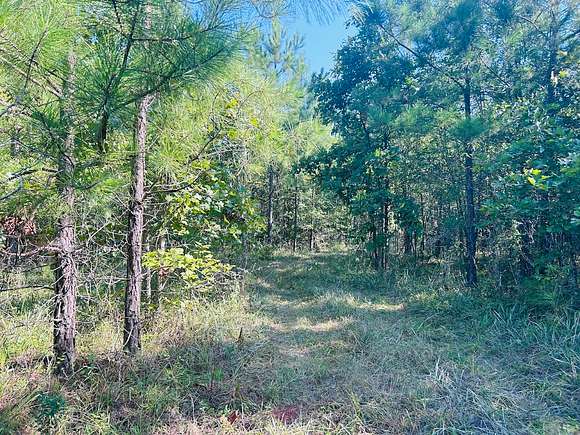 10 Acres of Recreational Land for Sale in Leesburg, Alabama