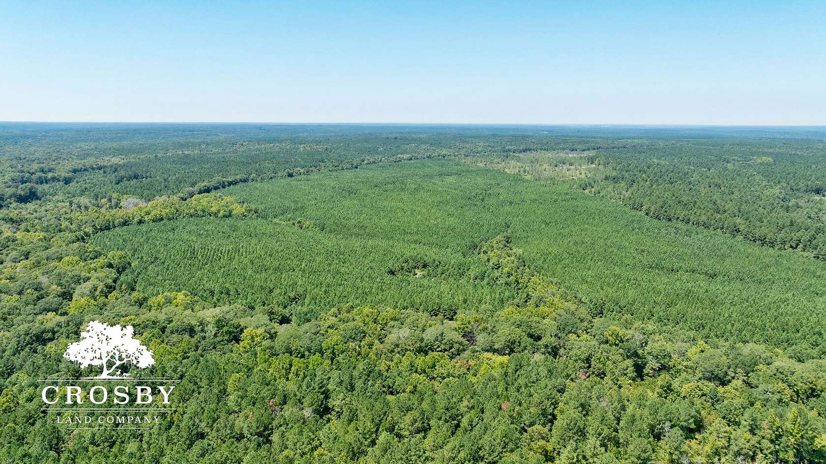 233.6 Acres of Recreational Land for Sale in Carlton, Georgia