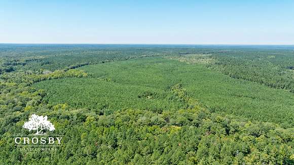 233.6 Acres of Recreational Land for Sale in Carlton, Georgia