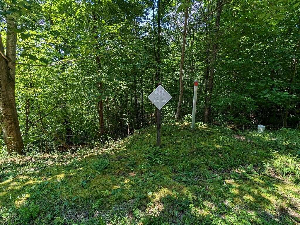 1.13 Acres of Residential Land for Sale in Cartoogechaye Township, North Carolina