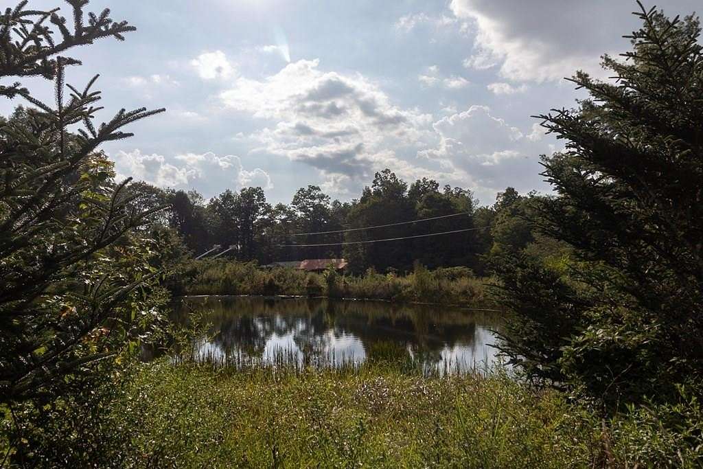 63 Acres of Agricultural Land for Sale in Glenville, North Carolina