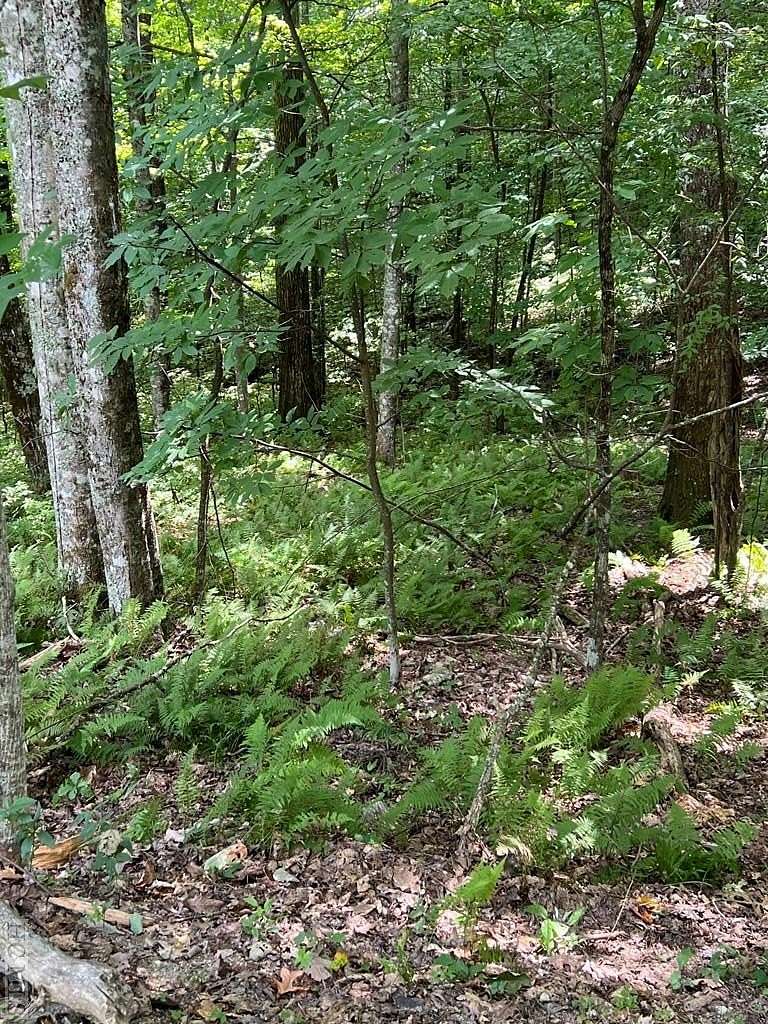 4.32 Acres of Residential Land for Sale in Sapphire, North Carolina