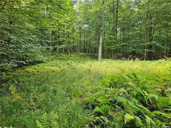 96.5 Acres of Land for Sale in Waverly Town, New York