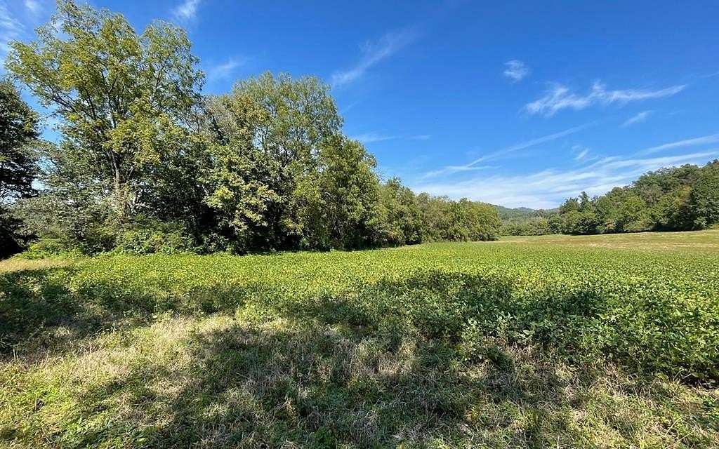 Land for Sale in Hayesville, North Carolina