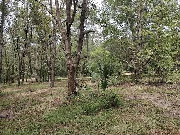 20.1 Acres of Recreational Land for Sale in Brooksville, Florida