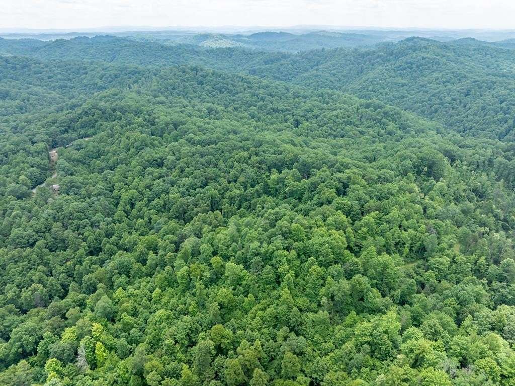 44.1 Acres of Land for Sale in Pineville, West Virginia