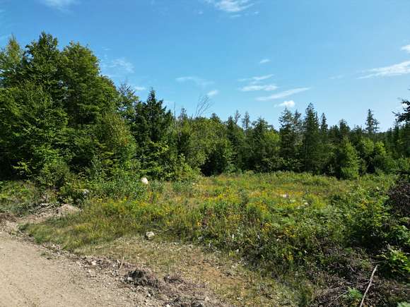 28.45 Acres of Recreational Land for Sale in Springfield, Maine