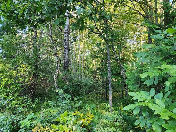 1.56 Acres of Land for Sale in Northport, Maine