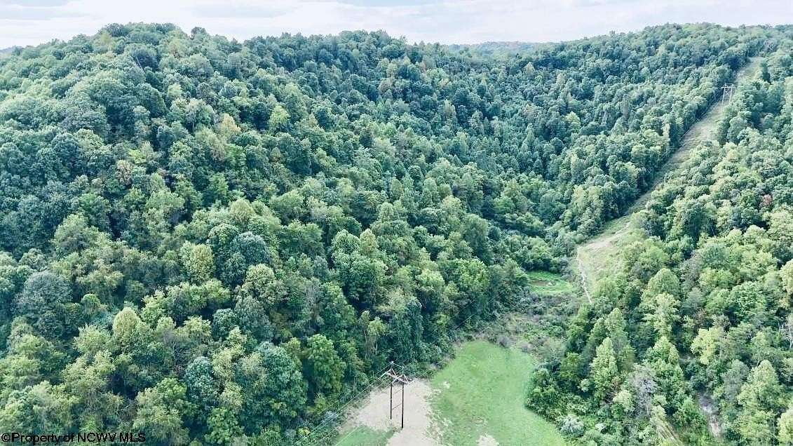 123.57 Acres of Recreational Land for Sale in Mannington, West Virginia