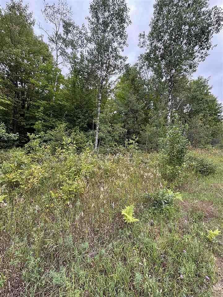 Residential Land for Sale in Elmira, Michigan