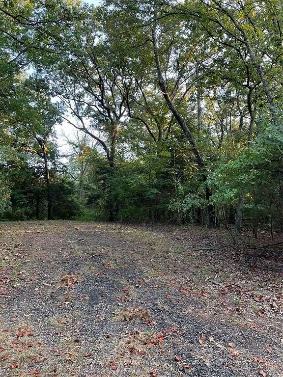 0.203 Acres of Residential Land for Sale in Mount Vernon, Texas