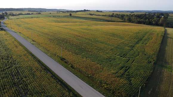 74.41 Acres of Agricultural Land for Sale in Stockton, Illinois