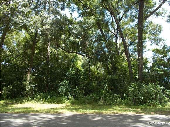 0.34 Acres of Land for Sale in Citrus Springs, Florida