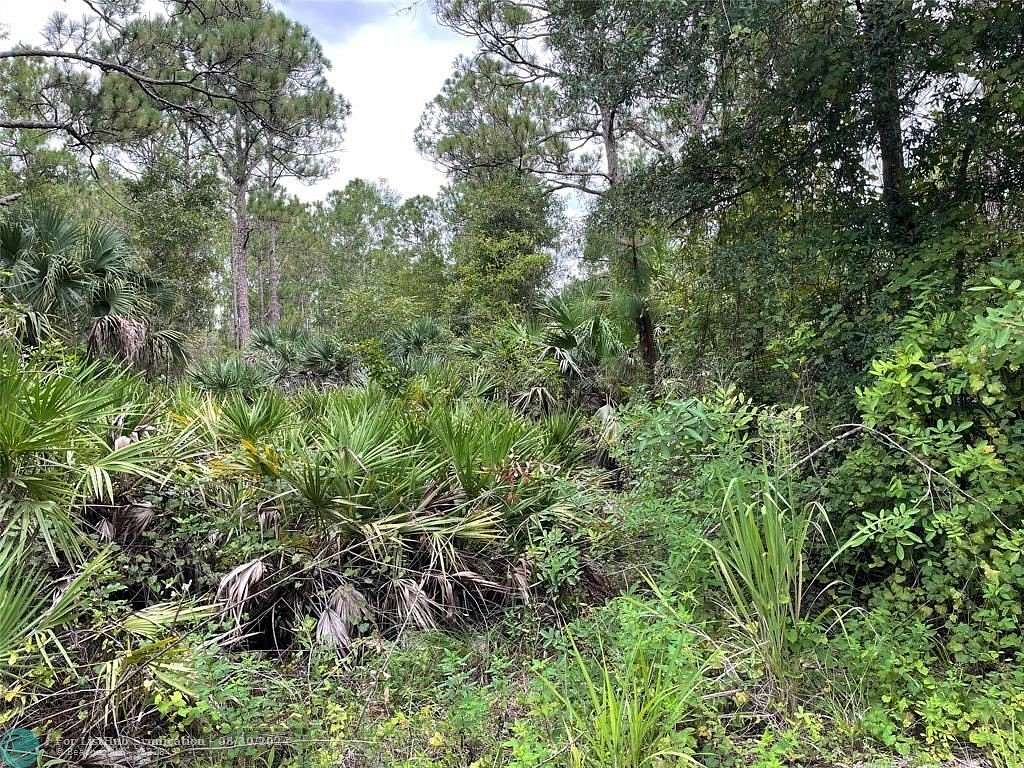 5 Acres of Residential Land for Sale in Fellsmere, Florida