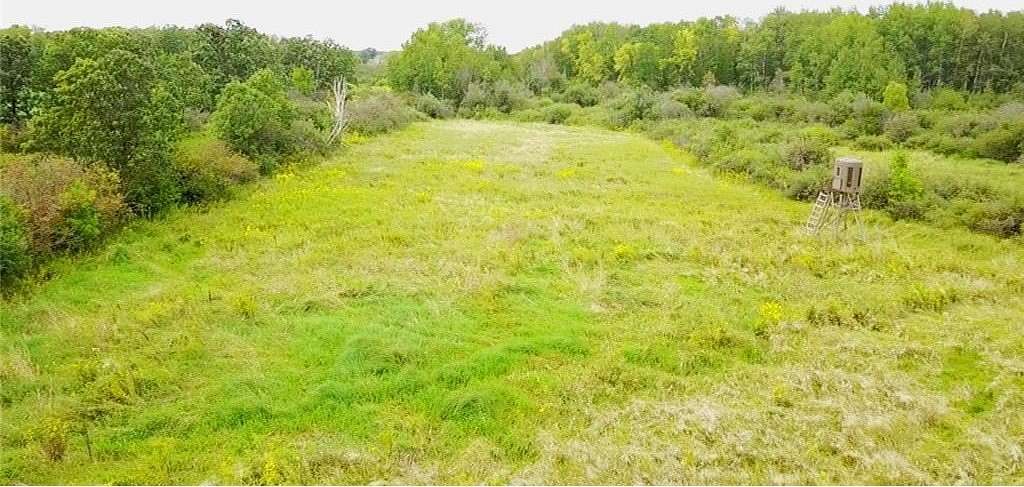 80 Acres of Recreational Land for Sale in Lewis Township, Minnesota