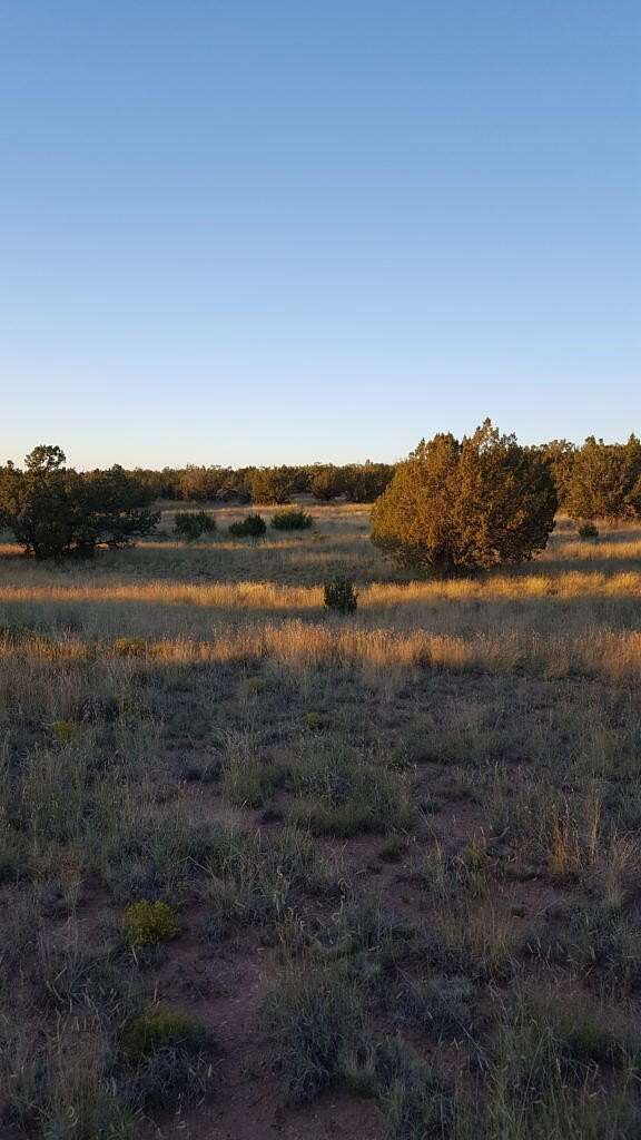 50 Acres of Agricultural Land for Sale in Carrizozo, New Mexico